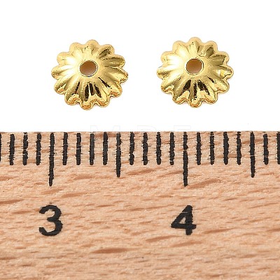 Brass Bead Caps KK-C260-05G-1