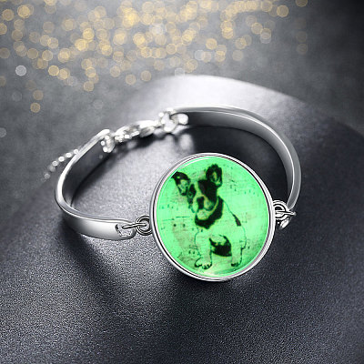 Lovely Dog Luminous Bracelets BJEW-BB14698-1