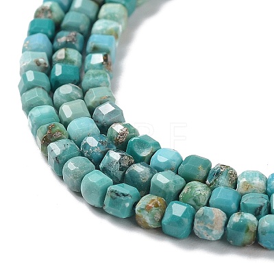 Natural HuBei Turquoise Beads Strands G-P514-B07-02-1