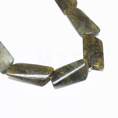 Natural Labradorite Beads Strands G-F632-02-1