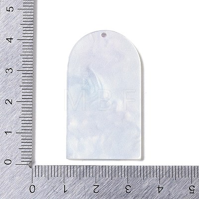 Acrylic Pendants OACR-R271-03C-1