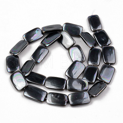 Electroplate Natural Freshwater Shell Beads Strands SHEL-R049-027-1