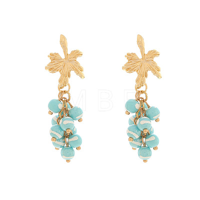 Alloy Resin Stud Dangle Earrings for Women WGF3FFF-01-1