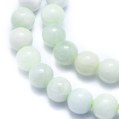 Natural Myanmar Jade/Burmese Jade Beads Strands G-K310-C05-8mm-1