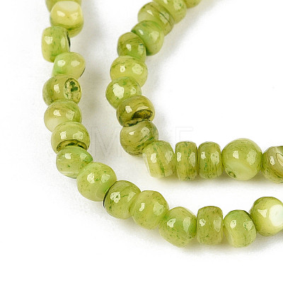 Natural Freshwater Shell Dyed Beads Strands SHEL-T020-29B-04-1