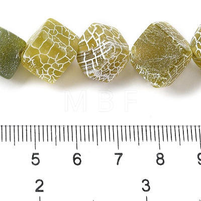 Natural Weathered Agate Beads Strands G-Q169-C04-01B-1