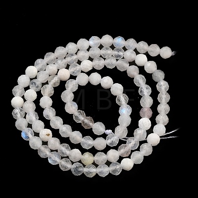 Natural Rainbow Moonstone Beads Strands G-G140-A13-03-1