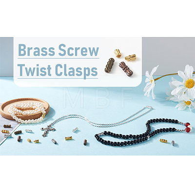 Kissitty 120 Sets 12 Styles Brass Screw Clasps KK-KS0001-24-1