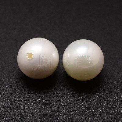 Shell Pearl Beads X-BSHE-L031-01-16mm-1