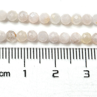 Natural Rainbow Moonstone Beads Strands G-A097-A02-04-1