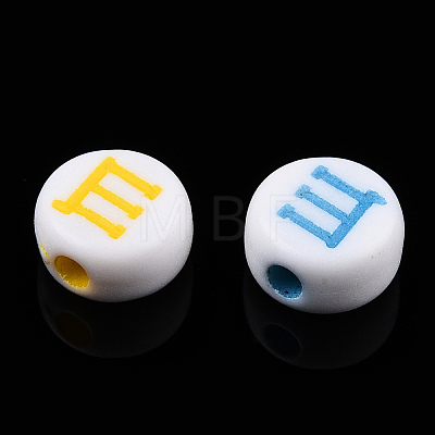 Craft Style Acrylic Beads MACR-N017-02-1