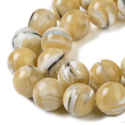 Natural Trochus Shell Beads Strands BSHE-P033-03C-1