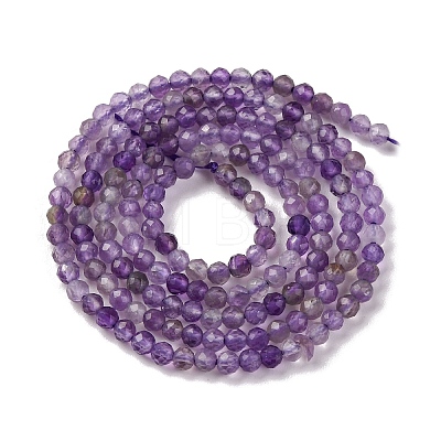 Natural Amethyst Beads Strands G-A235-A03-01-1