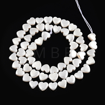 Natural Freshwater Shell Beads Strands SHEL-N026-220B-1