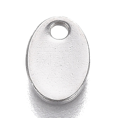 304 Stainless Steel Charms STAS-I166-20B-1