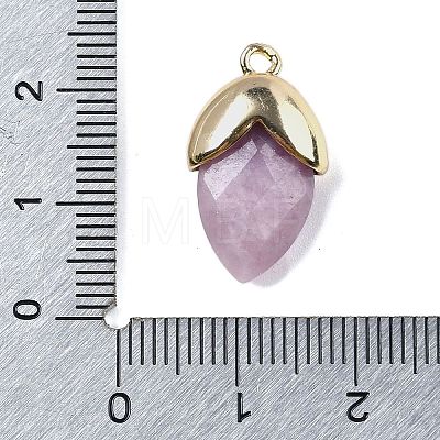 Natural Lepidolite Pendants G-U019-03A-03-1