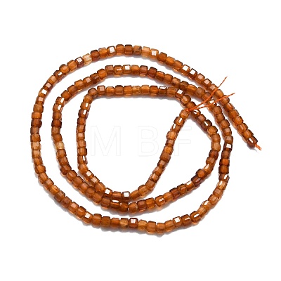 Natural Garnet Beads Strands G-P457-B01-18-1