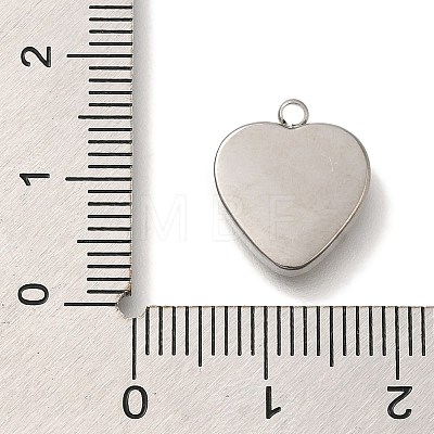 304 Stainless Steel Charms STAS-S148-10P-1