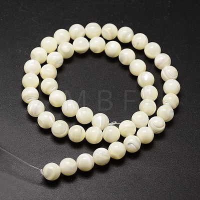 Shell Beads Strands SSHEL-E571-39-4mm-1