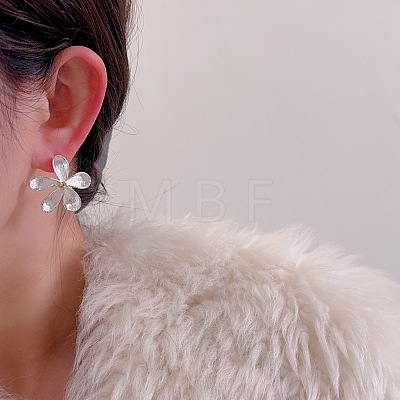 Alloy Stud Earrings for Women WGDA63E-02-1