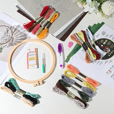 DIY Embroidery Kits For Beginner DIY-WH20011-73G-1