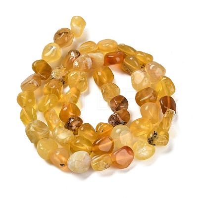 Natural Yellow Opal Beads Strands G-P497-01E-34B-1