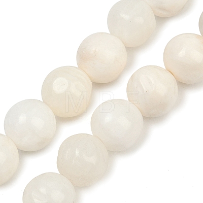 Natural White Shell Beads Strands BSHE-U001-01B-1