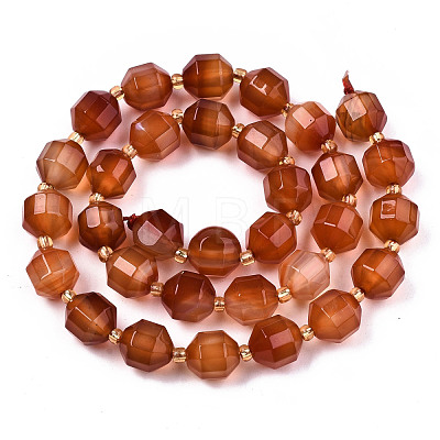 Natural Agate Beads Strands G-T131-82B-13-1