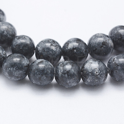 Natural Larvikite Beads Strands G-E443-A08-1
