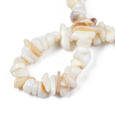 Natural Trochid Shell/Trochus Shell Beads Strands X-SHEL-S258-080-A01-1
