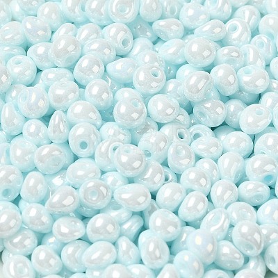 6/0 Glass Seed Beads SEED-M012-01A-13-1