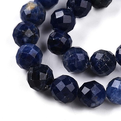 Natural Sodalite Beads Strands G-S345-10mm-26-1