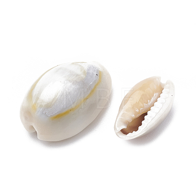 Cowrie Shell Beads X-SSHEL-T004-05-1