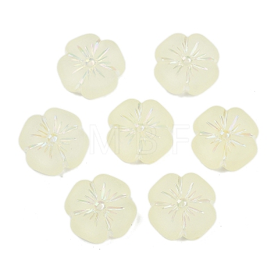 Frosted Transparent Acrylic Beads X1-OACR-P029-19B-03-1
