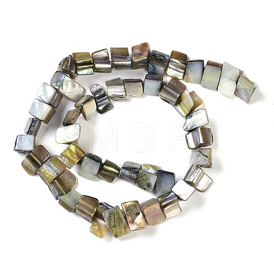 Dyed Natural Freshwater Shell Beads Strands SHEL-P016-01H-1