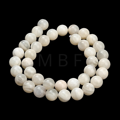 Natural White Moonstone Beads Strands G-L664-A01-10mm-1