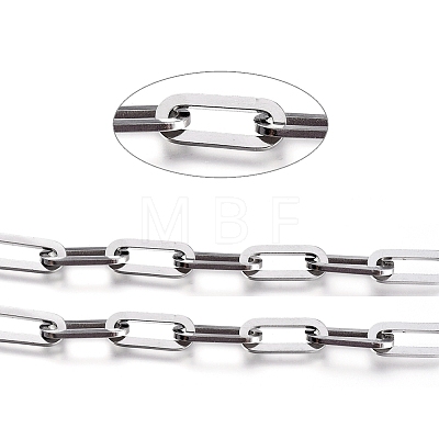 304 Stainless Steel Paperclip Chains CHS-L020-005P-A-1