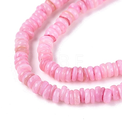 Natural Freshwater Shell Beads Strands SHEL-Q028-01E-1
