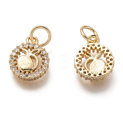 Brass Micro Pave Clear Cubic Zirconia Charms ZIRC-C020-57G-1