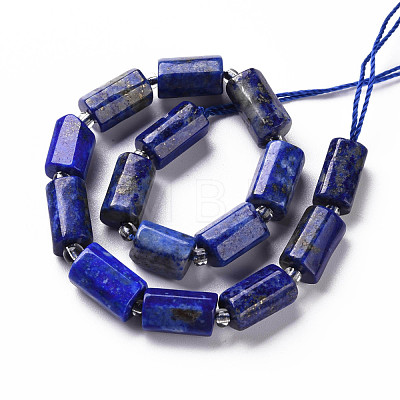 Natural Lapis Lazuli Beads Strands X-G-S345-8x11-002-1