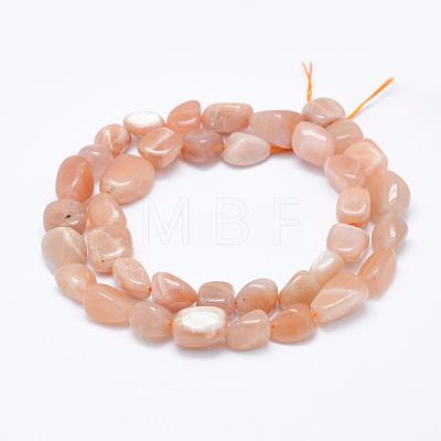 Natural Sunstone Beads Strands G-K203-11B-1