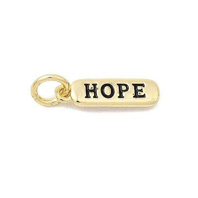 Brass Enamel Charms KK-P338-01G-E01-1