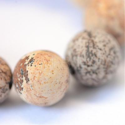 Frosted Natural Picture Jasper Round Bead Strands G-E334-8mm-26-1