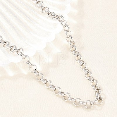 6MM 304 Stainless Steel Rolo Chain Necklaces for Men Women NJEW-H093-07C-P-1