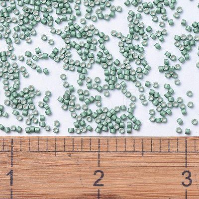 MIYUKI Delica Beads SEED-JP0008-DB1171-1