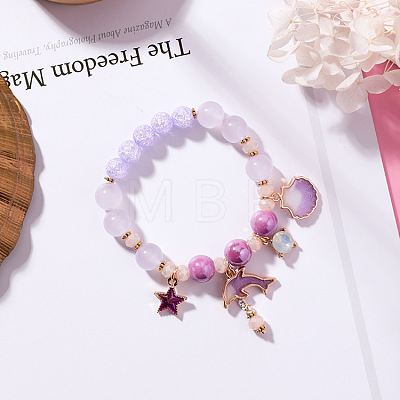 2Pcs 2 Styles Plastic & Glass Beaded Stretch Bracelets FS-WGE3E77-02-1