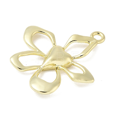 Alloy Pendants FIND-L025-15G-1
