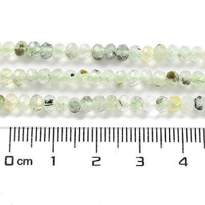 Natural Prehnite Beads Strands G-J400-C05-02-1