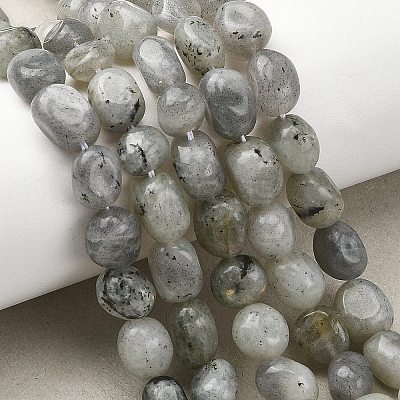 Natural Labradorite Beads Strands G-P623-A03-01-1