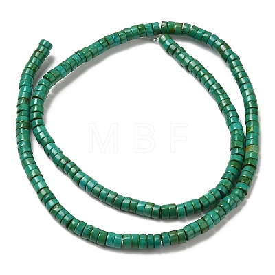 Natural Howlite Beads Strands G-B049-A01-01A-1